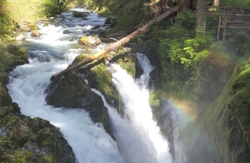 Rushing white waterfall flowing over the edge of a tall cliff surrounded by lush green forest