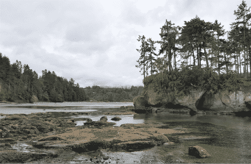 Wide, calm river going through a rocky and forested area with grey clouds above