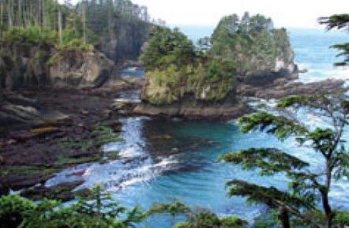 Small bay area of an ocean next to a rocky shore with two small islands with trees