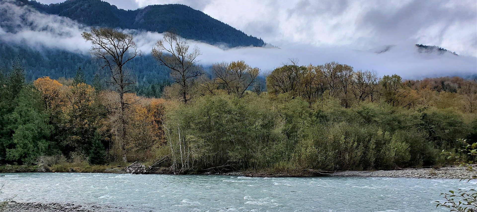 Large river next to green forested area with mountains and low lying clouds behind