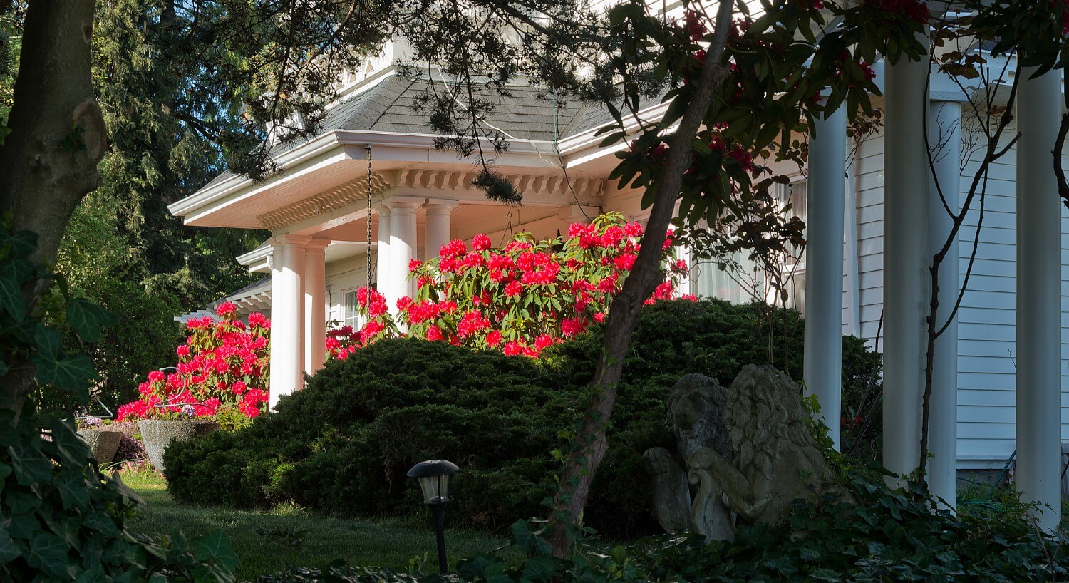 Gorgeous white home with columned front porch surrounded with flowering bushes and trees