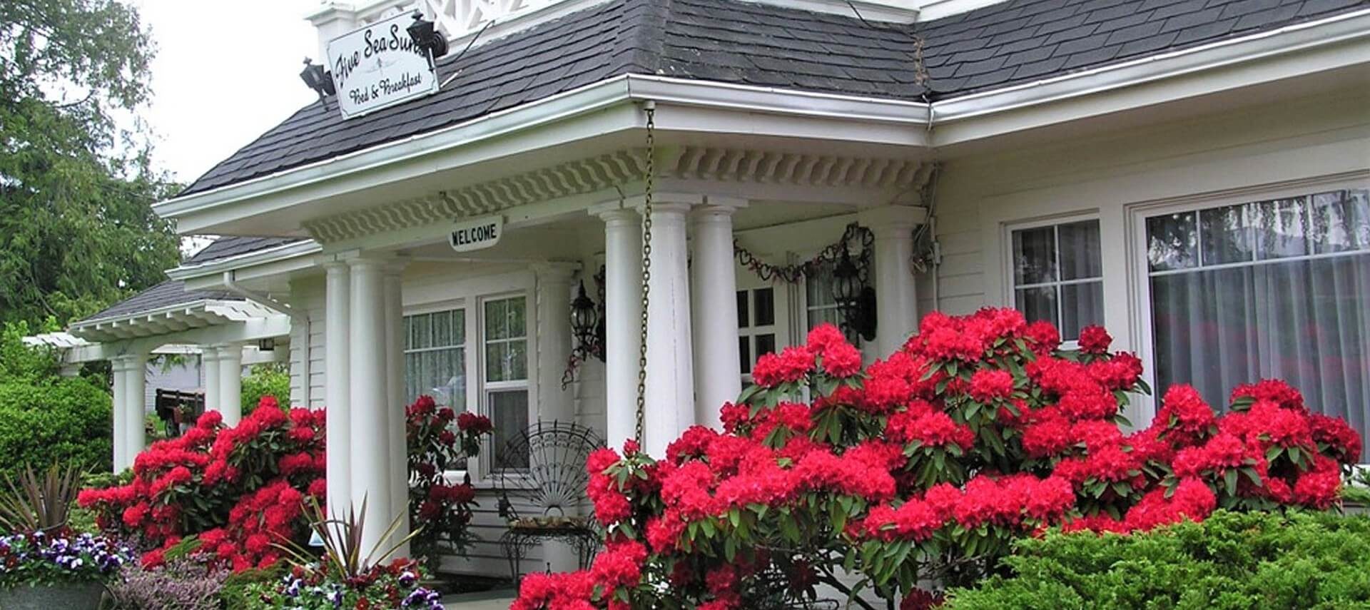 Front facade of a beautiful white home with columns, front porch flanked with large bushes full of red flowers