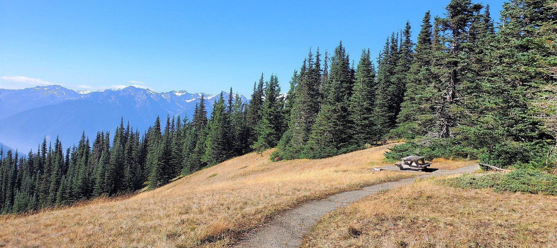 Gravel pathway at the top of a mountain with evergreen trees and snowcapped mountain range in the distance