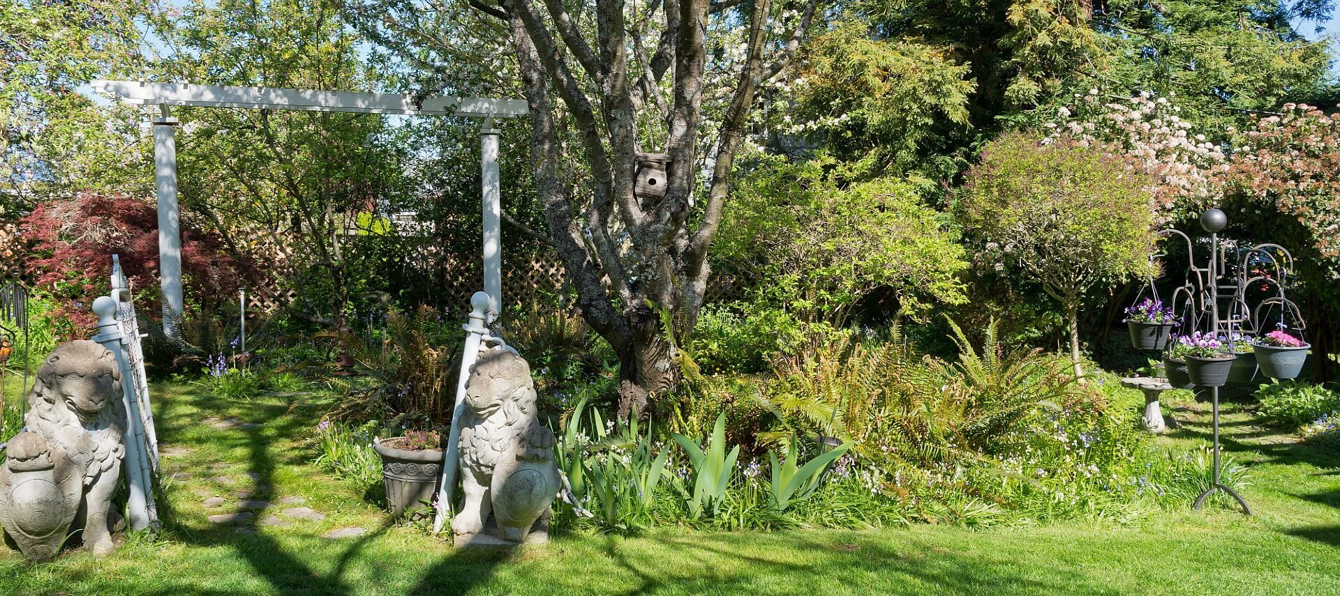 Large, lush garden area with two lion statues by a white pergola and stand with hanging baskets